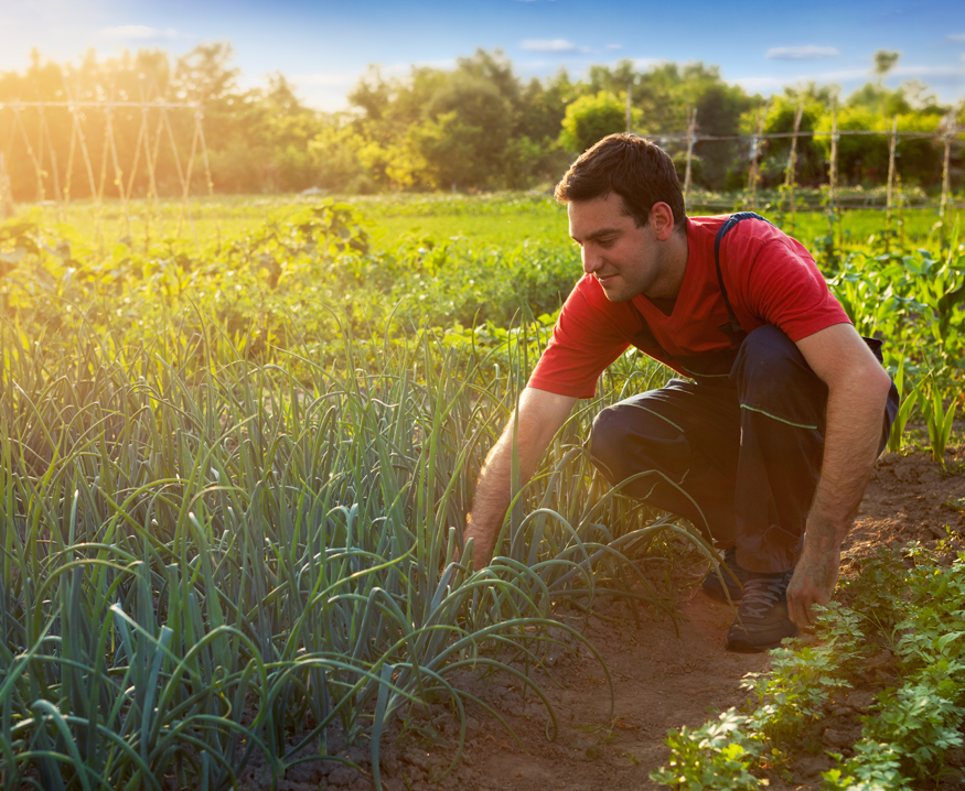 Hobby Farming