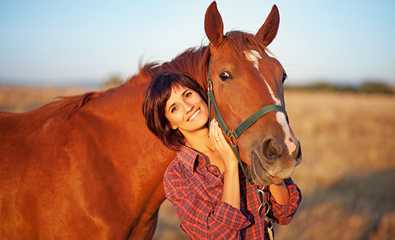 horse farming 2